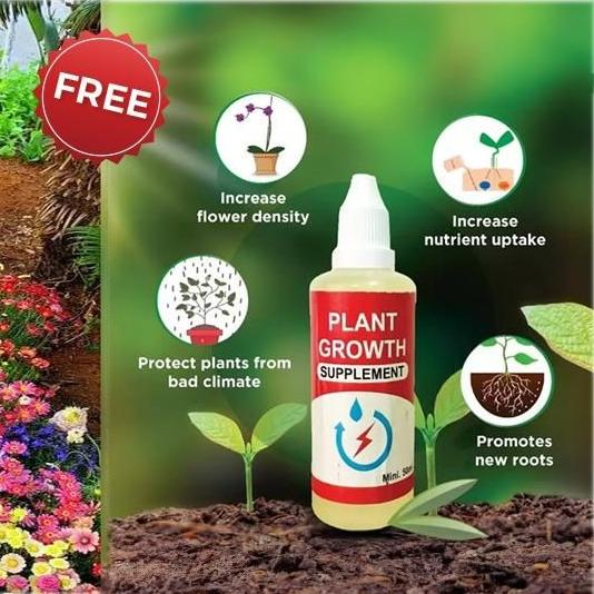 Italian 100 Premium Variety Flower Seeds + FREE Plant Growth Supplement