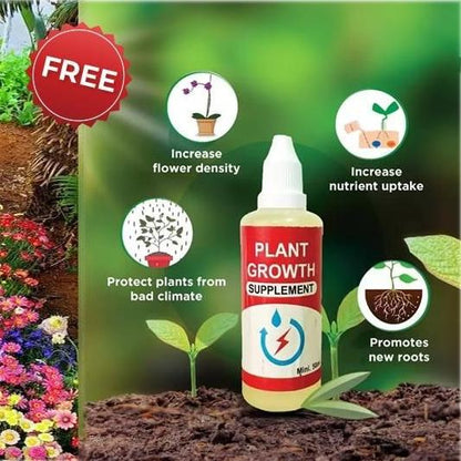 Italian 100 Premium Variety Flower Seeds + FREE Plant Growth Supplement