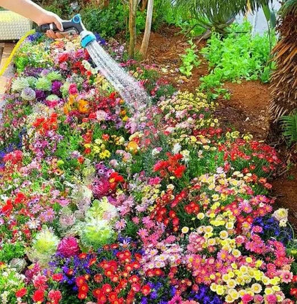 Italian 100 Premium Variety Flower Seeds + FREE Plant Growth Supplement