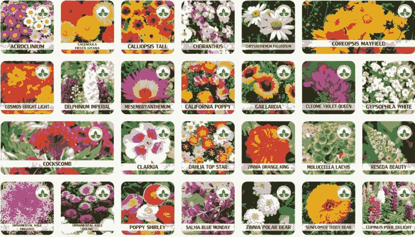 Italian 100 Premium Variety Flower Seeds + FREE Plant Growth Supplement